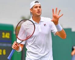 John Isner Player Paint by numbers