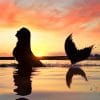 Mermaid Silhouette Sunset paint by numbers