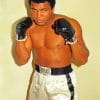 Muhammad Ali paint by numbers