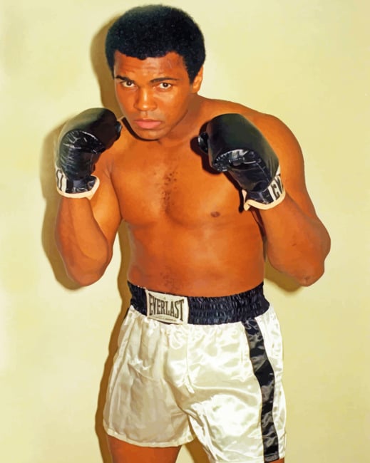 Muhammad Ali paint by numbers