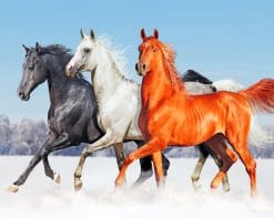 Running Stallion Horses paint by numbers