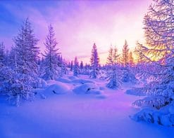 Snowy Winter Scenery paint by numbers