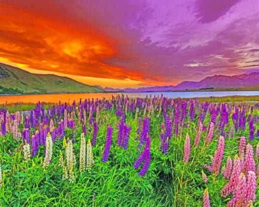 Sunset Lupins Field paint by numbers