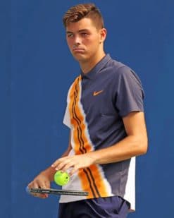 Taylor Fritz Paint by numbers