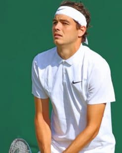 Taylor Fritz Player Paint by numbers
