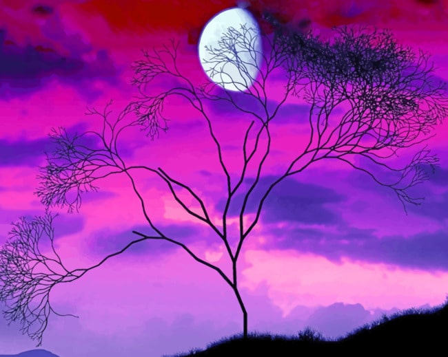 Tree And Moonlight paint by numbers