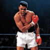 Muhammad Ali Paint by numbers