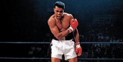 Muhammad Ali Paint by numbers