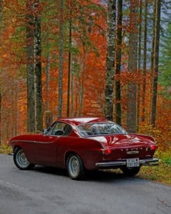 Volvo P1800 Paint by numbers