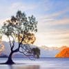 Wanaka Lake View paint by number