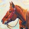 Western Halter Horse paint by numbers