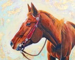 Western Halter Horse paint by numbers