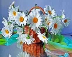 White Daisies paint by numbers