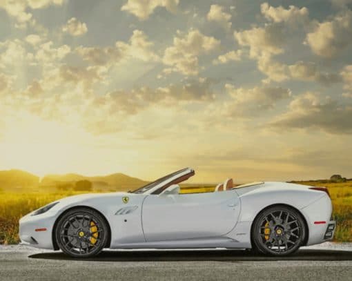 White Ferrari Convertible Paint by numbers