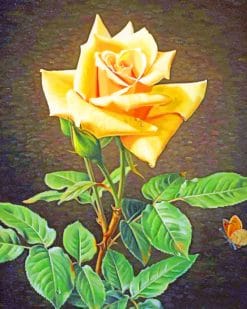 Yellow Rose paint by numbers
