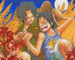 Ace And Luffy Paint by numbers