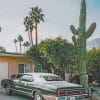 Aesthetic Cars And Cactus Paint by numbers