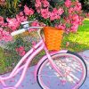 Aesthetic Pink Bike paint by numbers