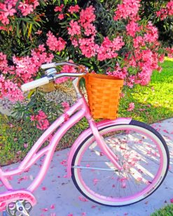 Aesthetic Pink Bike paint by numbers