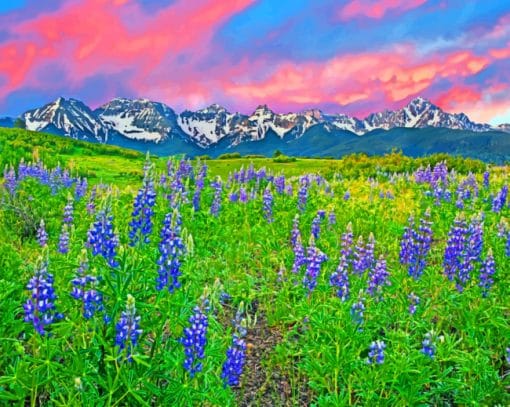 Alpine Meadow San Juan Mountains paint by numbers