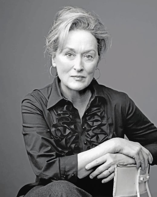 Black And White Meryl Streep paint by numbers