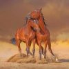 Brown Horses Paint by numbers