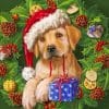 Christmas Dog Paint by numbers
