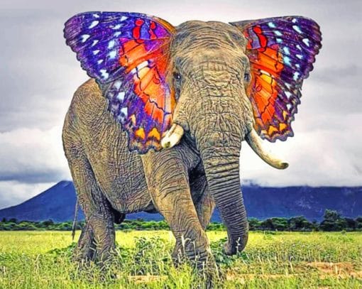 Elephant Insect Ears paint by numbers