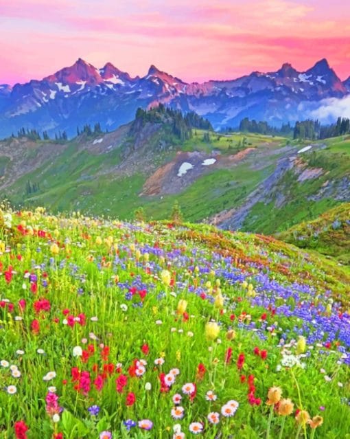 Flower Field With Mountains paint by numbers