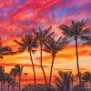 Hawaii Palm Sunset paint by numbers