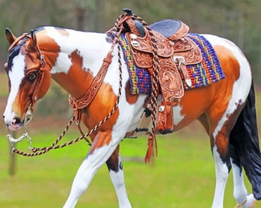 Horse With Saddles paint by numbers