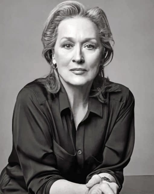 Meryl Streep Portrait paint by numbers