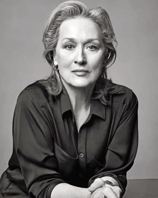 Meryl Streep Portrait paint by numbers