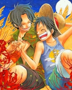 One Piece paint by numbers