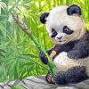 Panda animals paint by numbers
