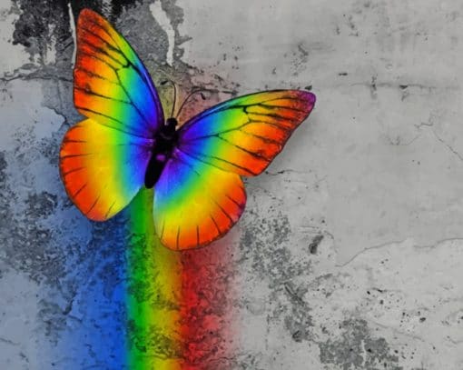 Rainbow Butterfly paint by numbers