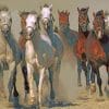 Running Horses paint by numbers