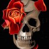 Skull And Flower Paint by numbers