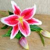 Stargazer Lily paint by numbers