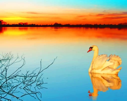 swan Bird on lake paint by number
