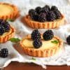 Tartlets With Blackberry paint by numbers