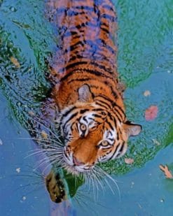 Tiger In The Water paint by numbers