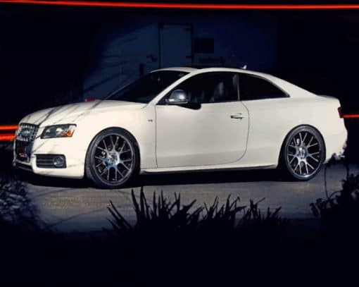 White Audi S5 paint by numbers