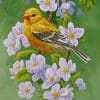 Yellow Bird And White Flowers paint by numbers