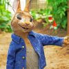 Peter Rabbit Paint by numbers