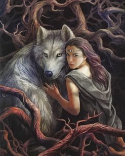 Woman And Wolf paint by numbers