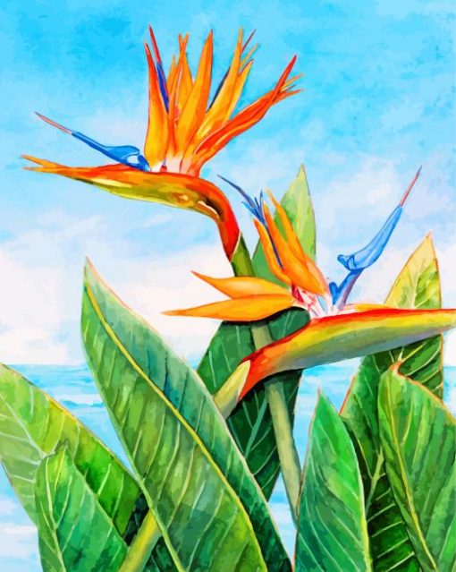 Bird-of-Paradise-plant-paint-by-numbers
