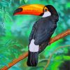 Tropical-Toucan-paint-by-number