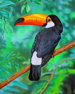 Tropical-Toucan-paint-by-number