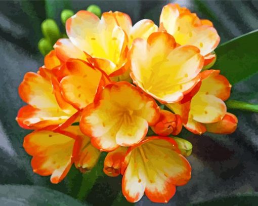 aesthetic-Clivia-paint-by-number